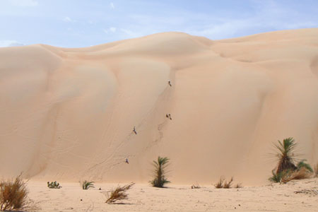 L’ Amatlich en Mauritanie